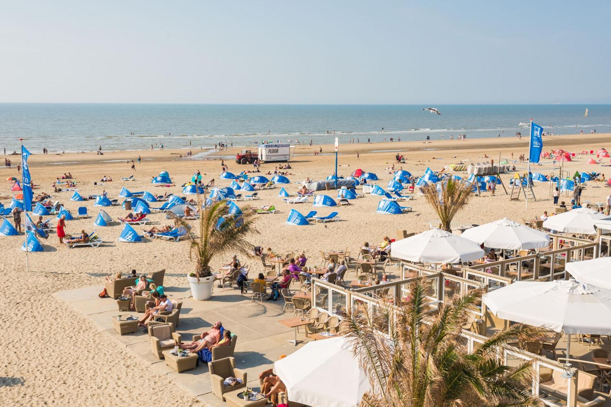 Seawave Studio Zandvoort Kültér fotó